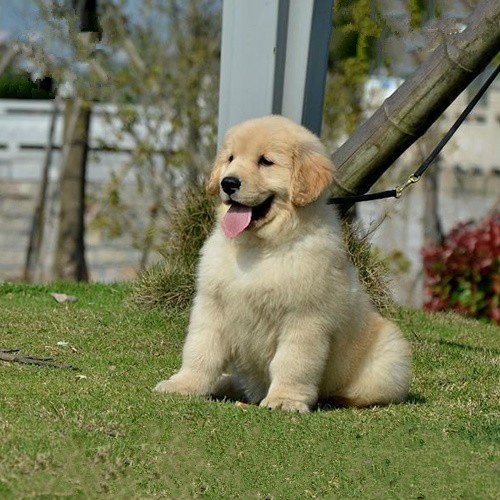 6a1cc63500a083b69bf64d85cbc1908d.jpg 6a1cc63500a083b69bf64d85cbc1908d.jpg