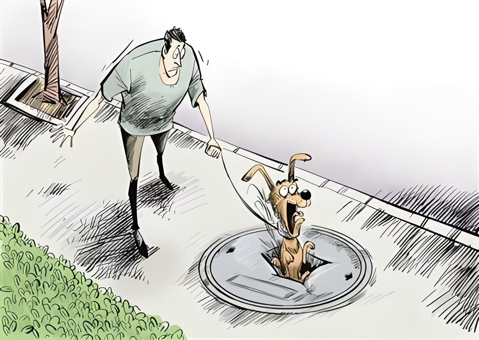 微信图片_20241122143603.jpg 微信图片_20241122143603.jpg
